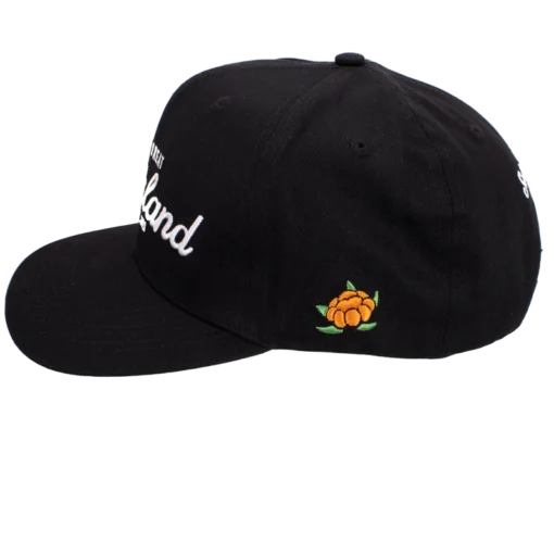 SQRTN -  Great Norrland keps - Svartsecond view