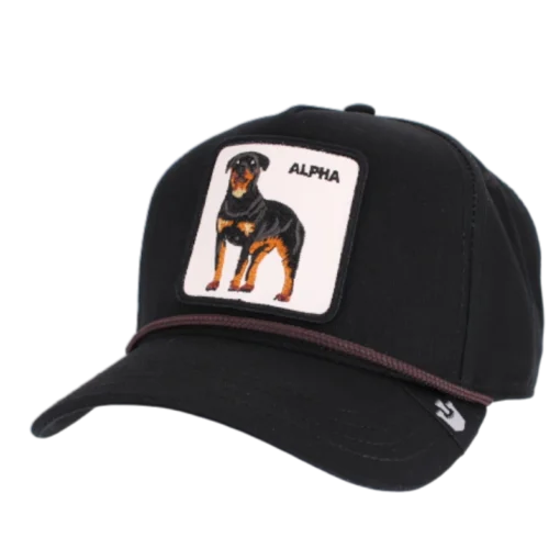 Goorin Bros - Alpha Dog 100 - Svart keps
