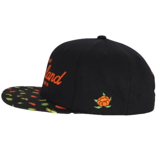 SQRTN – BMKC HOOJA – Svart snapback kepssecond view
